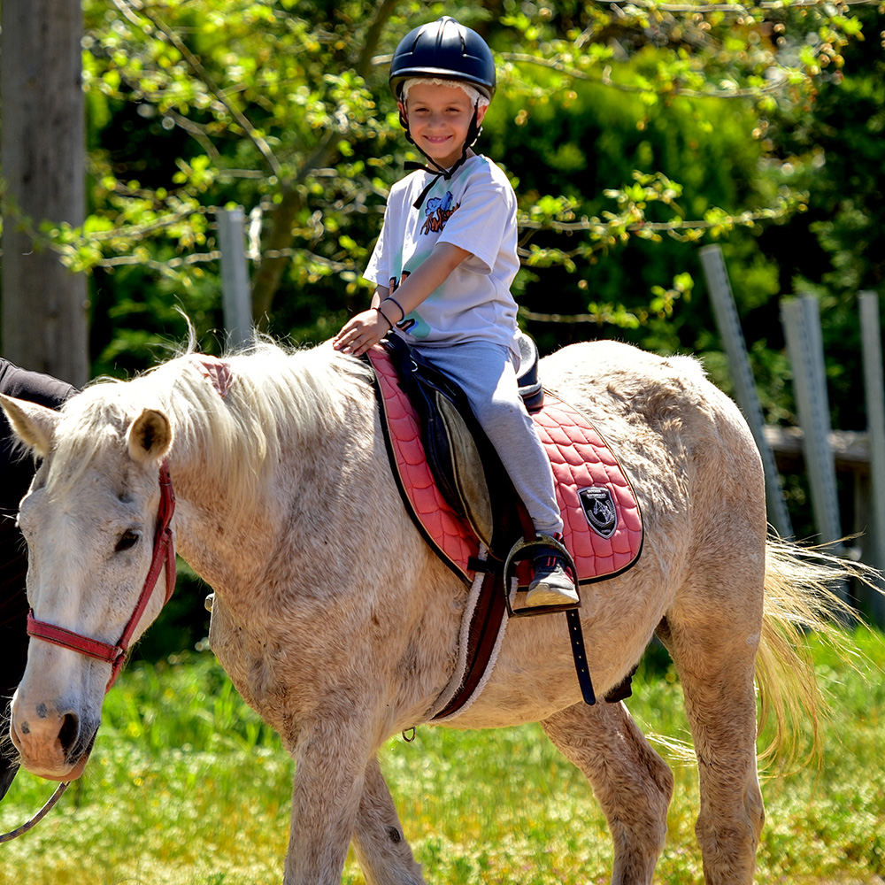 horse riding